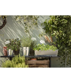 Zink-Kasten, Silber, Ca. B50/H13/T17 Cm -Gartenbedarfsgeschäft 1538875 WE MO 001 MetallKastenverzinkt