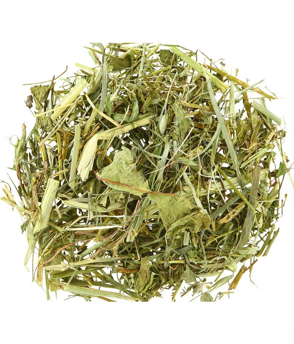 Dehner Kräuter-Mix, 125 G 4 Dehner Kräuter-Mix, 125 G – Bild 2