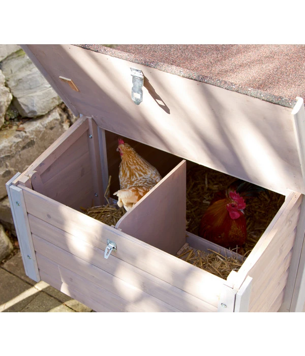 KERBL Hühnerstall Emma, Ca. B146/H85/T74 Cm 8 KERBL Hühnerstall Emma, Ca. B146/H85/T74 Cm – Bild 6