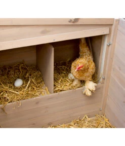 KERBL Hühnerstall Emma, Ca. B146/H85/T74 Cm 13 KERBL Hühnerstall Emma, Ca. B146/H85/T74 Cm -Gartenbedarfsgeschäft 1722214 WE D 004 KerblHuehnerstallEmma