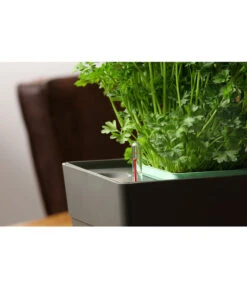 GREENBAR® Kräuterkasten, Ca. B48/H15,5/T16 Cm -Gartenbedarfsgeschäft 20150713 350 greenbar fuellanzeiger studio herzig