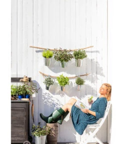 Dehner Gourmet Garten Zitronenmelisse -Gartenbedarfsgeschäft 20181011 PR MO 003 Kraeuter 01