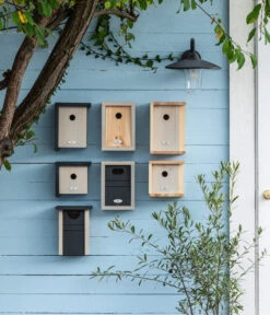 Dehner Natura Nistkasten Demeter, Ca. B18/H26/15 Cm -Gartenbedarfsgeschäft 20221026 WE MO 001 DehnerNaturaNistkaestenPatkar 1