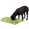 KERBL Pet Schnüffelteppich Für Hunde, Ca. B70/H5/T50 Cm -Gartenbedarfsgeschäft 2028496 WE DE 001 KerblHZbhSchnueffelteppich70x50cm