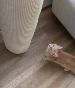 KERBL Pet Klettersack Climber Mini, Ca. Ø25/H100 Cm -Gartenbedarfsgeschäft 2028652 WE MO 003 KerblZbhKletterackClimber