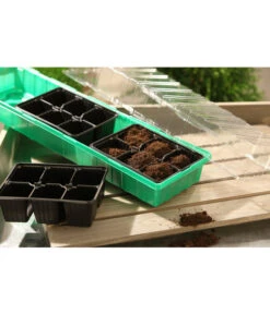 Dehner Zimmergewächshaus Frans, 54 X 15 X 12 Cm -Gartenbedarfsgeschäft 207456 BildM 001 RombergZimmergewaechshausFransFensterbGewH54X15x12