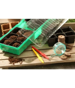 Dehner Zimmergewächshaus Frans, 54 X 15 X 12 Cm -Gartenbedarfsgeschäft 207456 BildM 002 RombergZimmergewaechshausFransFensterbGewH54X15x12