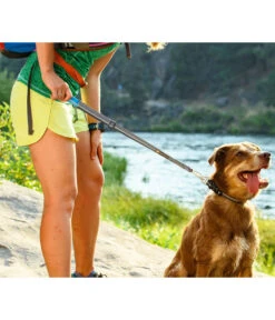 RUFFWEAR® Quick Draw™ Hunde-Schnellzugleine -Gartenbedarfsgeschäft 2083061 WE MO 002 RWHLQuickDrawGraniteGray