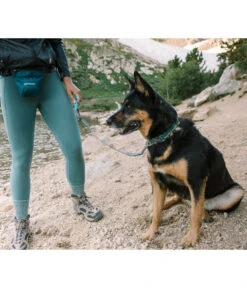 RUFFWEAR® Quick Draw™ Hunde-Schnellzugleine -Gartenbedarfsgeschäft 2083061 WE MO 003 RWHLQuickDrawGraniteGray