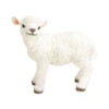 Polyresin Lamm Stehend, Weiß -Gartenbedarfsgeschäft 2451946 WE FS 001 PolyresinLammstehendwei39x22x36cm