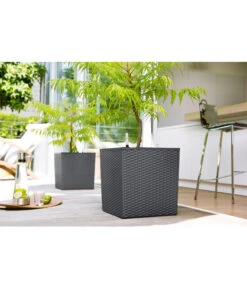 Dehner Kunststoff-Pflanztopf Dallas, Quadratisch, Ca. B35/H34/T35 Cm -Gartenbedarfsgeschäft 2460038 2460046 2460053 WE MO 001 KunststoffTopf36x36x36cm