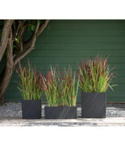 Dehner Kunststoff-Pflanztopf Dallas, Quadratisch, Ca. B35/H34/T35 Cm -Gartenbedarfsgeschäft 2460046 WE MO 003 DehnerKunststoffPflanztopfDallasquadratisch