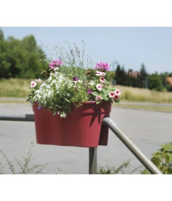 KHW Kunststoff-Geländertöpfe-Set, 57,5 X 28 X 27 Cm, 2-teilig -Gartenbedarfsgeschäft 2550218 WE MO 001 KHWKunststoffGelaendertopf2teiligpink