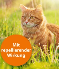 ARDAP® Zecken- Und Flohschutz Spot-On Für Katzen Ab 4 Kg, 3 X 0,8 Ml -Gartenbedarfsgeschäft 2599165 WE DE 002 ArdapQuikoKZbhSpotOn4kgPlus