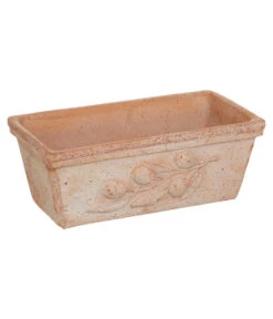Degrea Terrakotta-Blumenkasten Mit Olivendekor