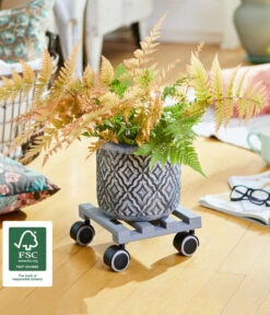 Wagner Pflanzenroller Creo, Ø 19 Cm 17 Wagner Pflanzenroller Creo, Ø 19 Cm -Gartenbedarfsgeschäft 2913945 WE MO 002 MULTIROLLERCREO