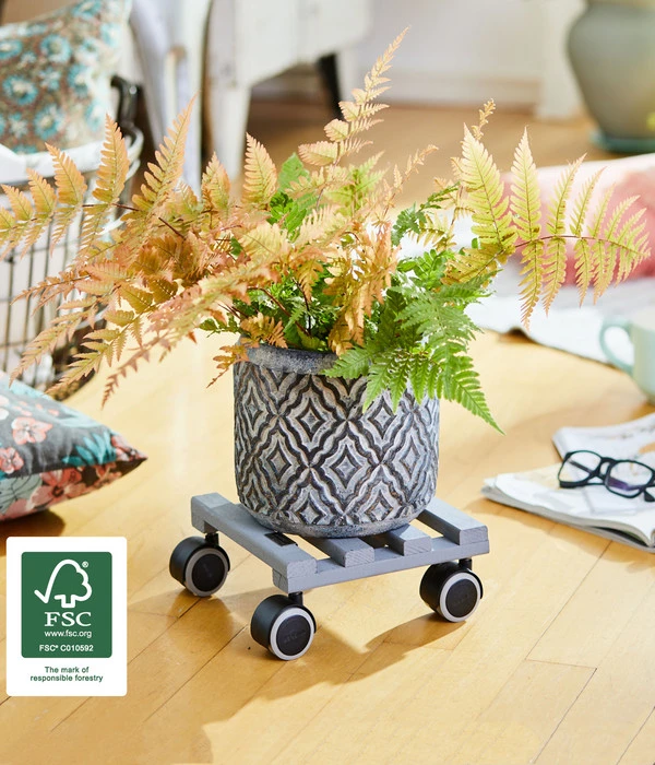 Wagner Pflanzenroller Creo, Ø 19 Cm 7 Wagner Pflanzenroller Creo, Ø 19 Cm – Bild 5