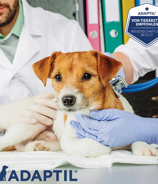 ADAPTIL® Calm Verdampfer Start-Set 5 ADAPTIL® Calm Verdampfer Start-Set – Bild 3