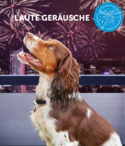 ADAPTIL® Calm Verdampfer Start-Set 14 ADAPTIL® Calm Verdampfer Start-Set -Gartenbedarfsgeschäft 3020054 3020062 WE MO 003 CevaHZbhAdaptilCalm