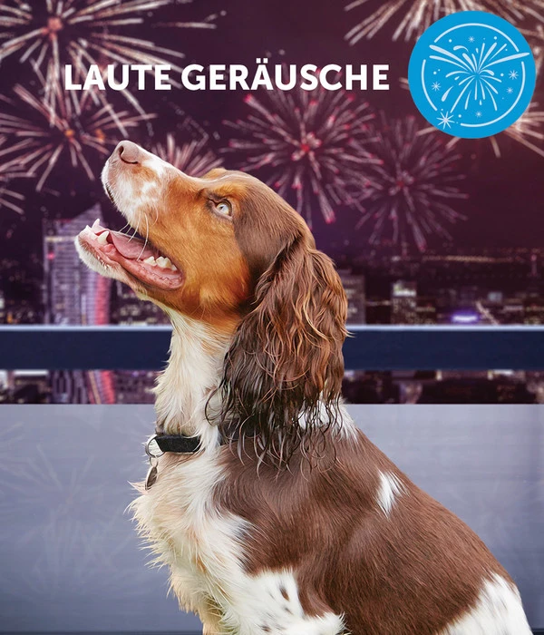 ADAPTIL® Calm Verdampfer Start-Set 6 ADAPTIL® Calm Verdampfer Start-Set – Bild 4