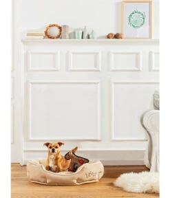 Dehner Lieblinge Kuschelbett Sammy, Oval, Grau -Gartenbedarfsgeschäft 3066958 WE MO 002 DehnerHundebettSammyOvalGrau