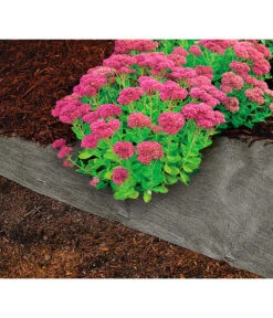 Dehner Rindenmulch-Unterlage, Ca. L300/B200 Cm -Gartenbedarfsgeschäft 3079696 WE MO 004 RindenmulchUnterlageMulchunterlageWurzelsperre