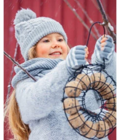 Dehner Natura Beeren-Knödel, Ohne Netz, 100 Stk. Je 100 G -Gartenbedarfsgeschäft 3142049 1728013 5315114 1727981 5458310 1728021 WE M 004 DehnerNaturaMeisenknoedelring