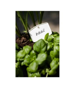 Elho Pflanz-Stift, 5 Stück 7 Elho Pflanz-Stift, 5 Stück -Gartenbedarfsgeschäft 3266806 MO FS 001 PflanzstiftMweissElhoEtikett