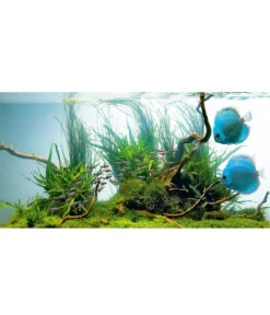 JUWEL® AQUARIUM Leuchtstoffröhren T5 HiLite Day 8 JUWEL® AQUARIUM Leuchtstoffröhren T5 HiLite Day -Gartenbedarfsgeschäft 3340809 WE D 002 JuwelHLDayMM24Watt