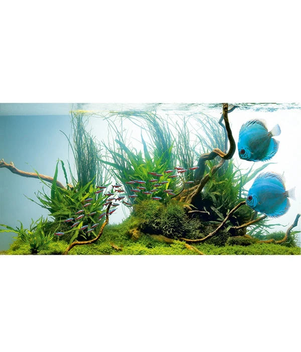 JUWEL® AQUARIUM Leuchtstoffröhren T5 HiLite Day 5 JUWEL® AQUARIUM Leuchtstoffröhren T5 HiLite Day – Bild 3