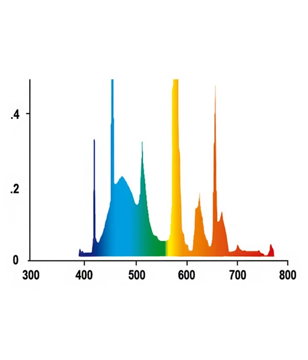 JUWEL® AQUARIUM Leuchtstoffröhren T5 HiLite Day 6 JUWEL® AQUARIUM Leuchtstoffröhren T5 HiLite Day – Bild 4