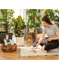 LECHUZA® PON Pflanzensubstrat -Gartenbedarfsgeschäft 3679685 4191144 4191342 3634003 WE MO 004 LechuzaPONNeu n