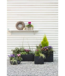 Dehner Kunststoff-Raumtrenner Palermo, Rechteckig, Anthrazit, Ca. B60/H60/T26 Cm -Gartenbedarfsgeschäft 3728110 3728151 3940756 WE MO 006 KunststoffBlumenkuebelKubusanthrazitBlumentopf