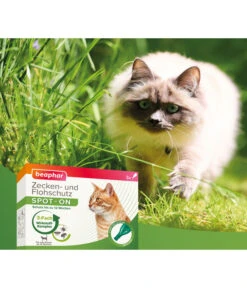 Beaphar Zecken- & Flohschutz SPOT-ON Für Katzen, 3x0,8 Ml -Gartenbedarfsgeschäft 3879285 WE DE 004 BeaKZbhZeckenFlohschutzSpotOnKatzen