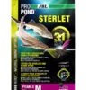 JBL Teichfischfutter ProPond Sterlet -Gartenbedarfsgeschäft 3904109 WE FS 002 JBLPropondSterlet