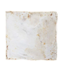 Pilzmännchen Bio Pilzzuchtset Austernpilz -Gartenbedarfsgeschäft 3940285 BildD 002 PilzmaennchenBioHomePilzzuchtsetAusternpilzPilzbrutAusternpilzSet