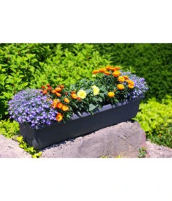 Geli Kunststoff-Blumenkasten Aqua Andalucia -Gartenbedarfsgeschäft 3955739 WE MO 001 GeliKunststoffBlumenkastenAquaAndaluciamitLangzeitbewaesseungssystem