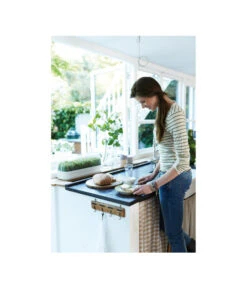 Elho Anzuchthaube L -Gartenbedarfsgeschäft 4026704 WE MO 001 AnzuchthausLTransparentElho