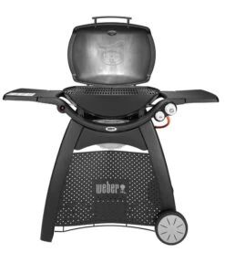 Weber Gasgrill Q 3000, 63 X 45 Cm -Gartenbedarfsgeschäft 4073334 WE FS 003 WeberQ3000Black
