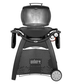 Weber Gasgrill Q 3000, 63 X 45 Cm -Gartenbedarfsgeschäft 4073334 WE FS 004 WeberQ3000Black