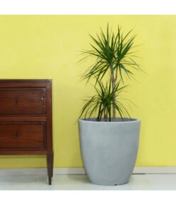 Farmet Kunststoff-Topf-Set Orione Alto, Rund, Grau, 2-teilig 10 Farmet Kunststoff-Topf-Set Orione Alto, Rund, Grau, 2-teilig -Gartenbedarfsgeschäft 4109179 WE DE 002 ORIONEALTOHoherRunderPflanzkuebelDurchmesser50cm50cmhochSTEINBEIGE