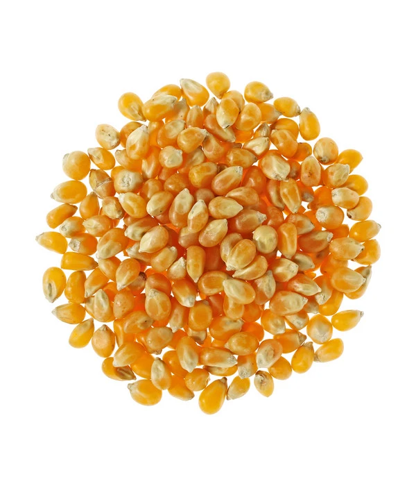 Dehner Mais, 1 Kg 4 Dehner Mais, 1 Kg – Bild 2