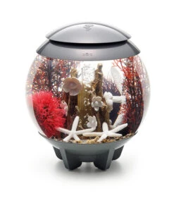 BiOrb® Aquarumdeko Decor Set 15 L Red Forest -Gartenbedarfsgeschäft 4163606 WE M 004 BiOrbDecorSet15LRedForest