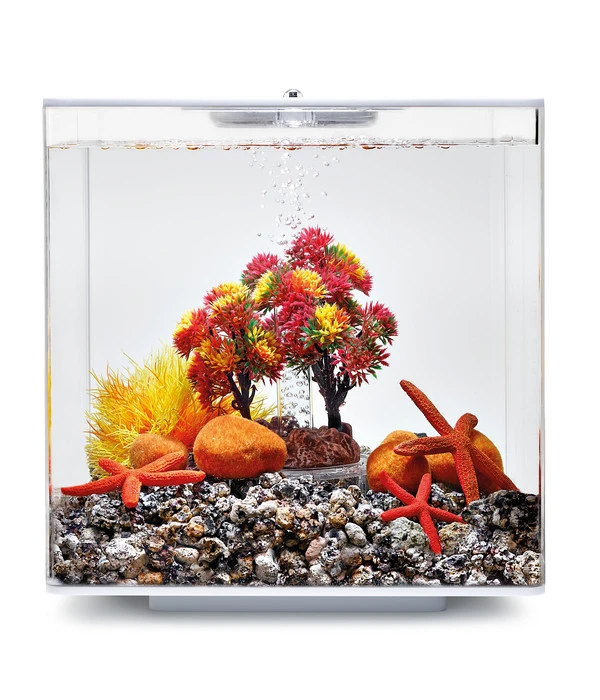 BiOrb® Aquariumdeko Decor Set 15 L Herbst 4 BiOrb® Aquariumdeko Decor Set 15 L Herbst – Bild 2