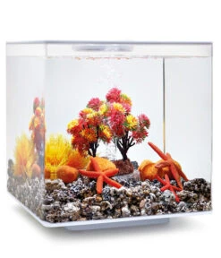 BiOrb® Aquariumdeko Decor Set 15 L Herbst 10 BiOrb® Aquariumdeko Decor Set 15 L Herbst -Gartenbedarfsgeschäft 4163838 WE M 002 BiOrbAquariumdekoDecorSet15LHerbst