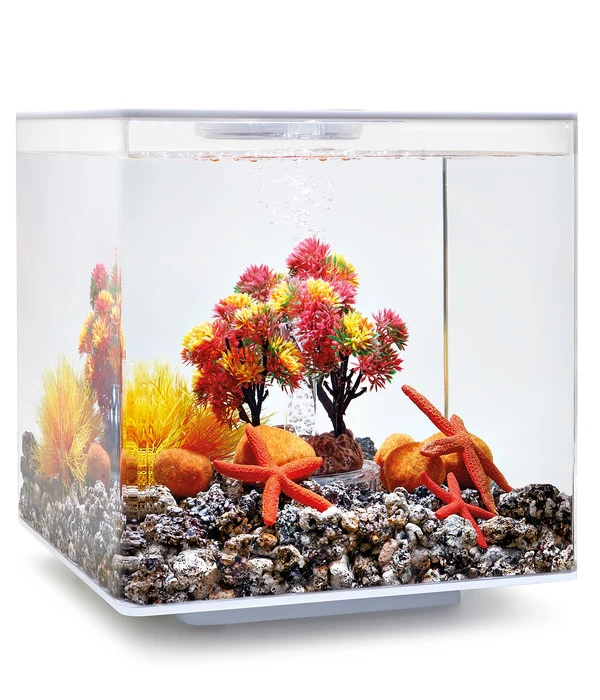 BiOrb® Aquariumdeko Decor Set 15 L Herbst 5 BiOrb® Aquariumdeko Decor Set 15 L Herbst – Bild 3