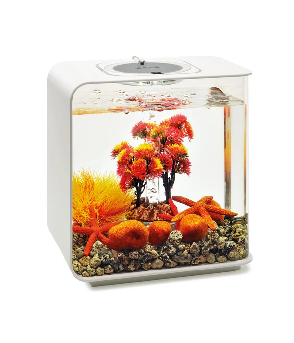 BiOrb® Aquariumdeko Decor Set 15 L Herbst 6 BiOrb® Aquariumdeko Decor Set 15 L Herbst – Bild 4