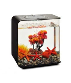 BiOrb® Aquariumdeko Decor Set 15 L Herbst 12 BiOrb® Aquariumdeko Decor Set 15 L Herbst -Gartenbedarfsgeschäft 4163838 WE M 004 BiOrbAquariumdekoDecorSet15LHerbst