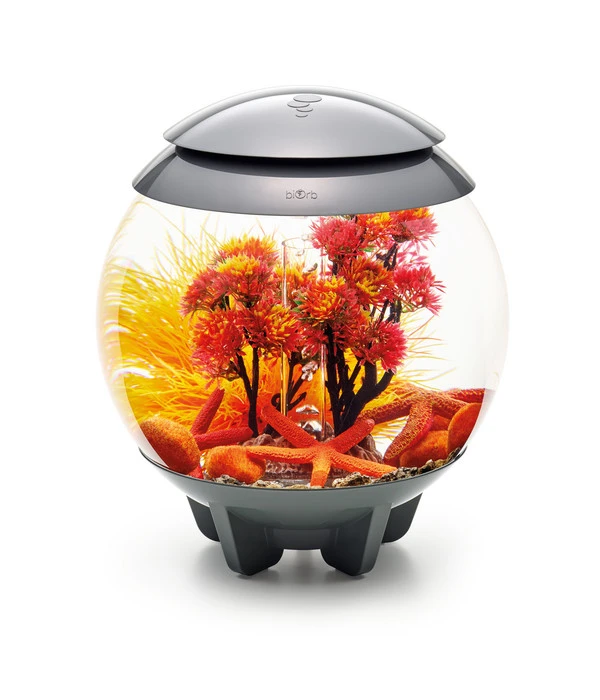 BiOrb® Aquariumdeko Decor Set 15 L Herbst 8 BiOrb® Aquariumdeko Decor Set 15 L Herbst – Bild 6