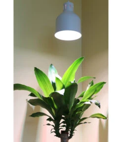 Venso Lampenschirm Saga Für Pflanzenlampe 8 Venso Lampenschirm Saga Für Pflanzenlampe -Gartenbedarfsgeschäft 4179578 WE MO 002 LampenschirmSagaWeissfuerPflanzenlampe